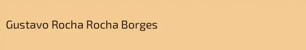 Gustavo Rocha Rocha Borges